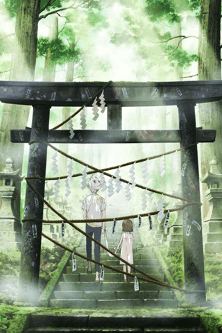 Into the Forest of Fireflies' Light