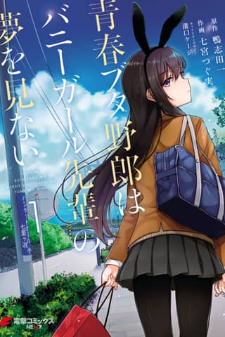 Rascal Does Not Dream of Bunny Girl Senpai