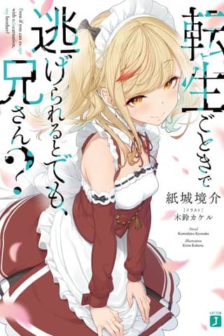 Tensei gotoki de Nigerareru to demo, Nii-san?