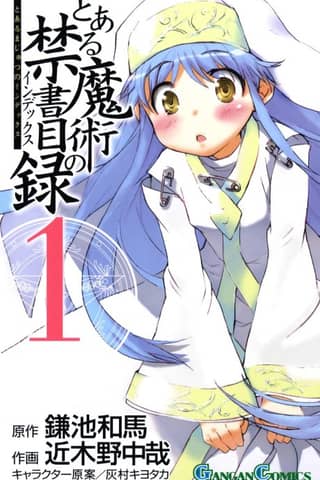 A Certain Magical Index