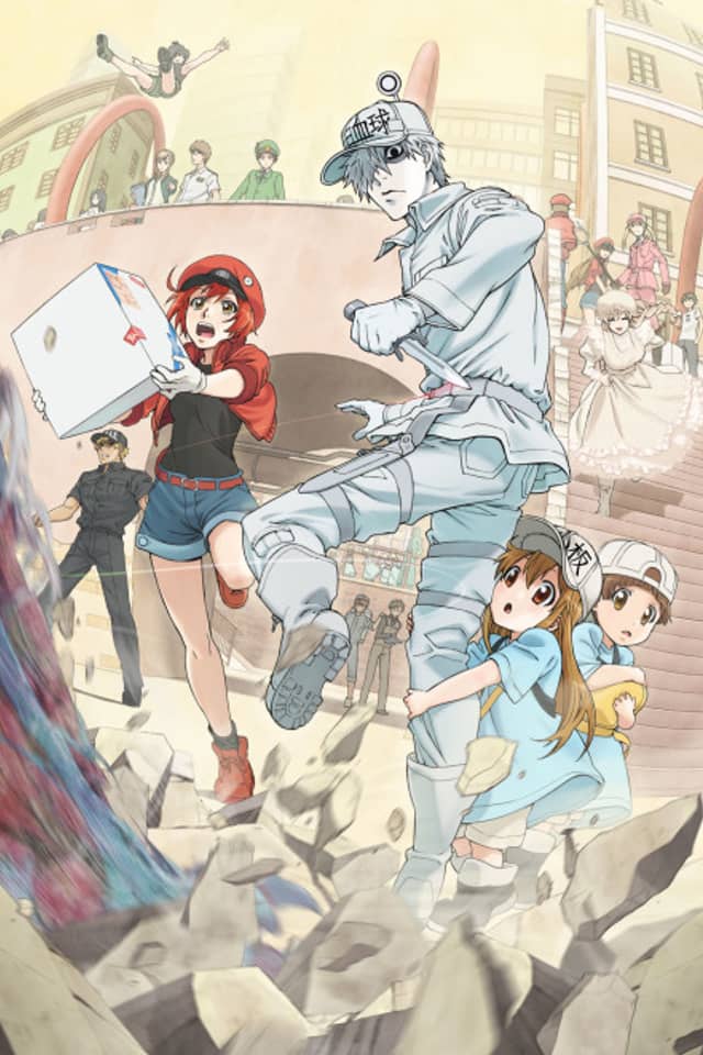 Cells at Work!