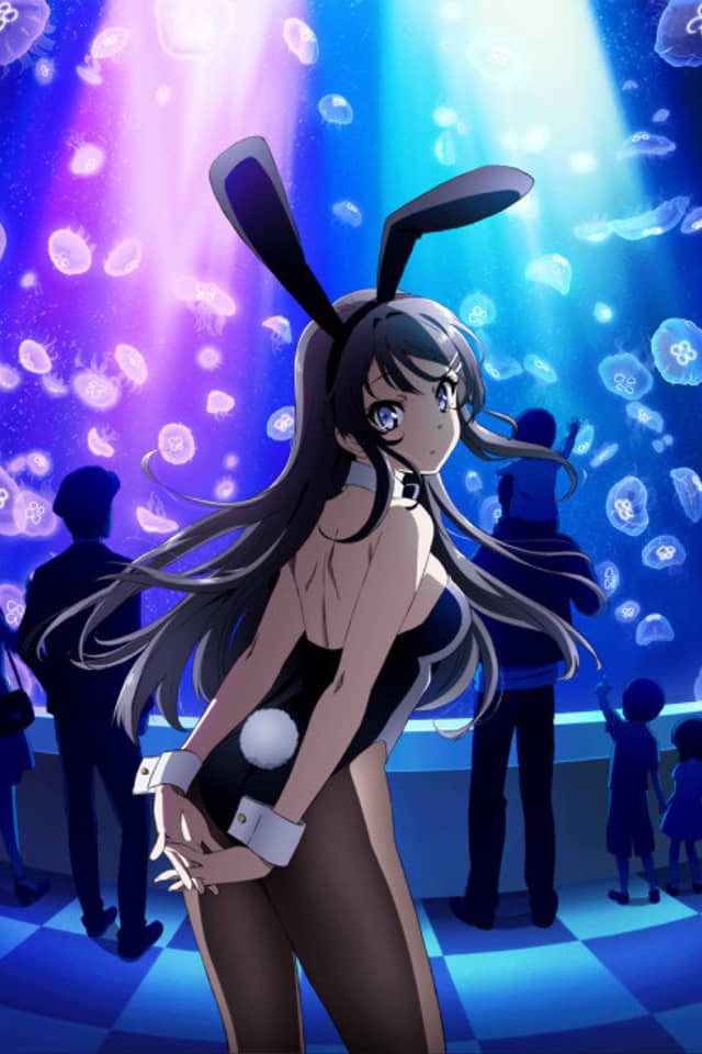 Rascal Does Not Dream of Bunny Girl Senpai
