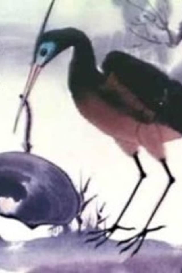The Fight Between the Snipe and the Clam