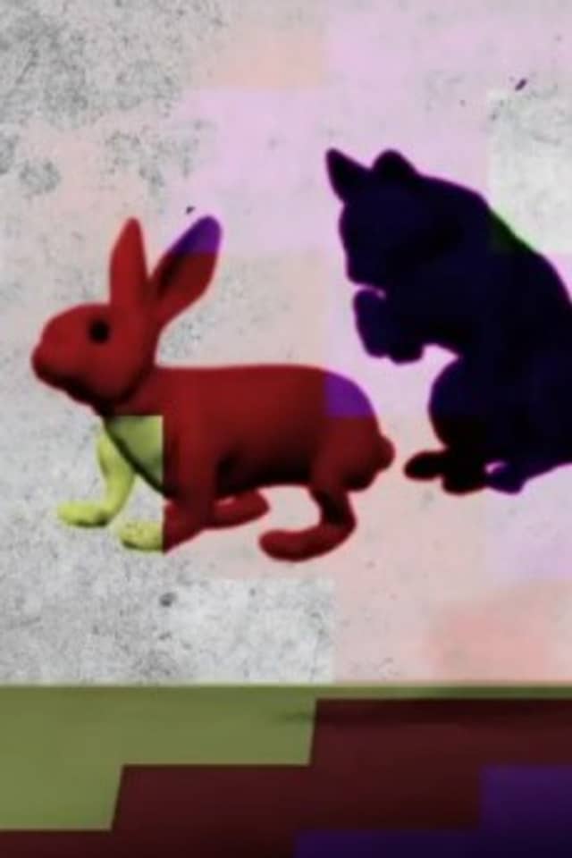 Rabbit