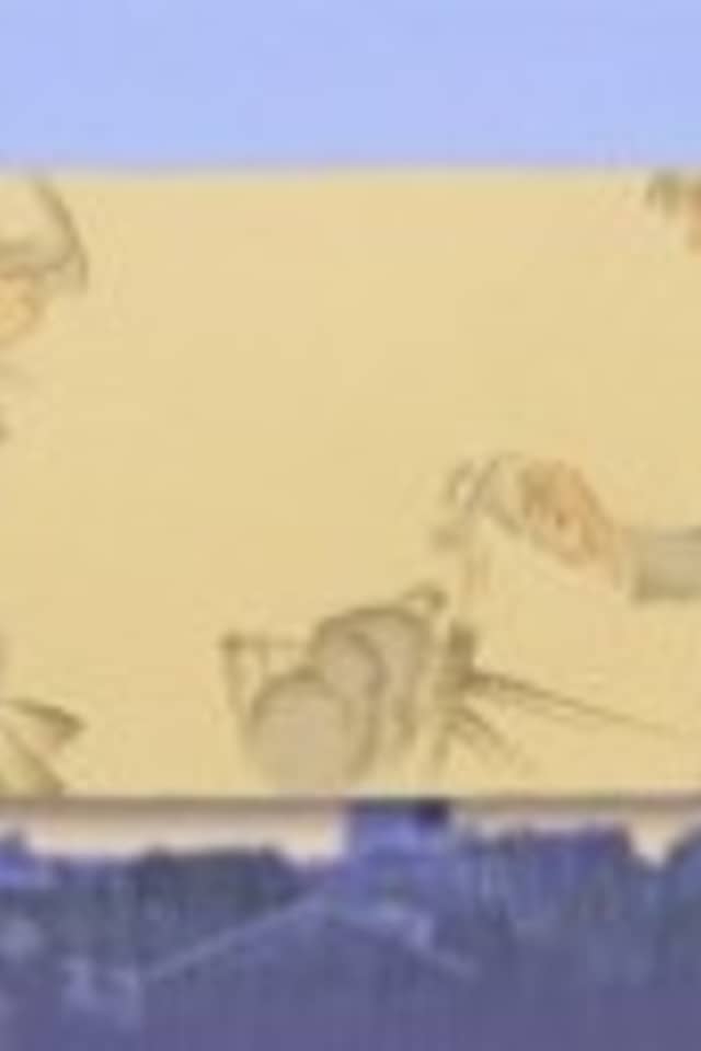Fure! Fure! Daijoubu!