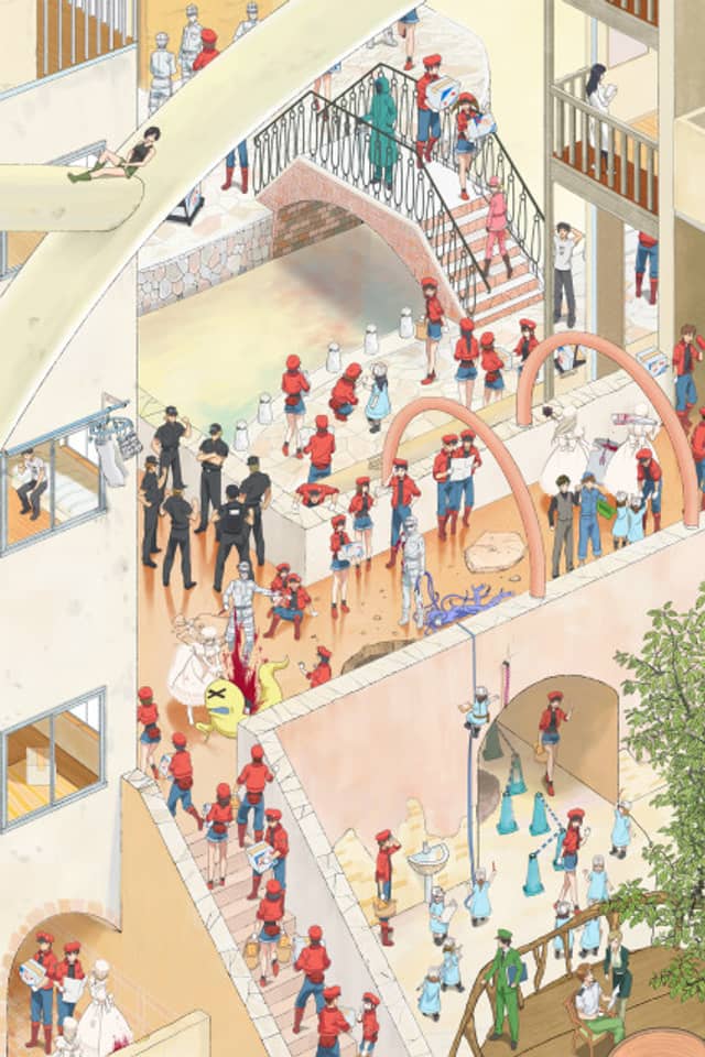 Cells at Work!: The Common Cold