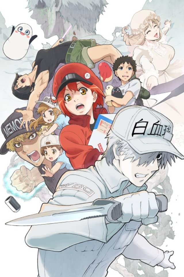 Cells at Work!!