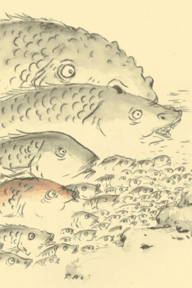 The Hyuga Episode of Kojiki