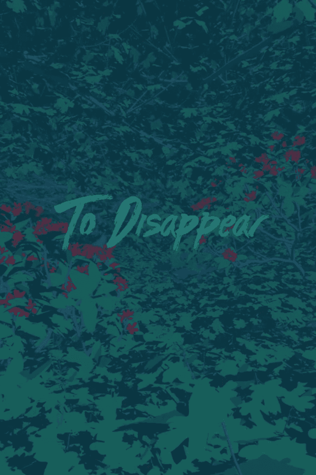 To Disappear