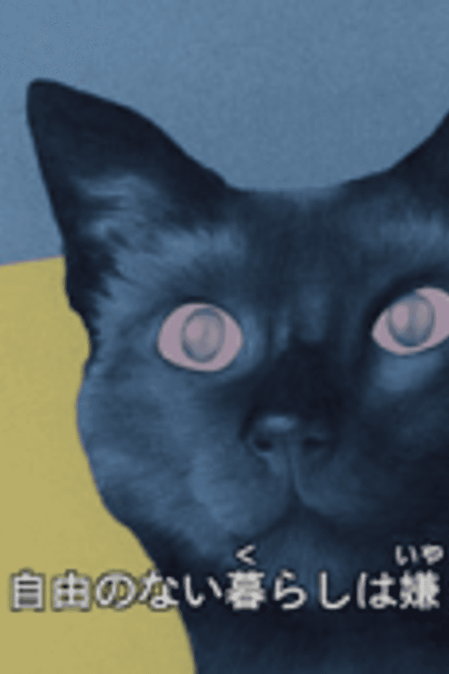 Cat's Eye Love