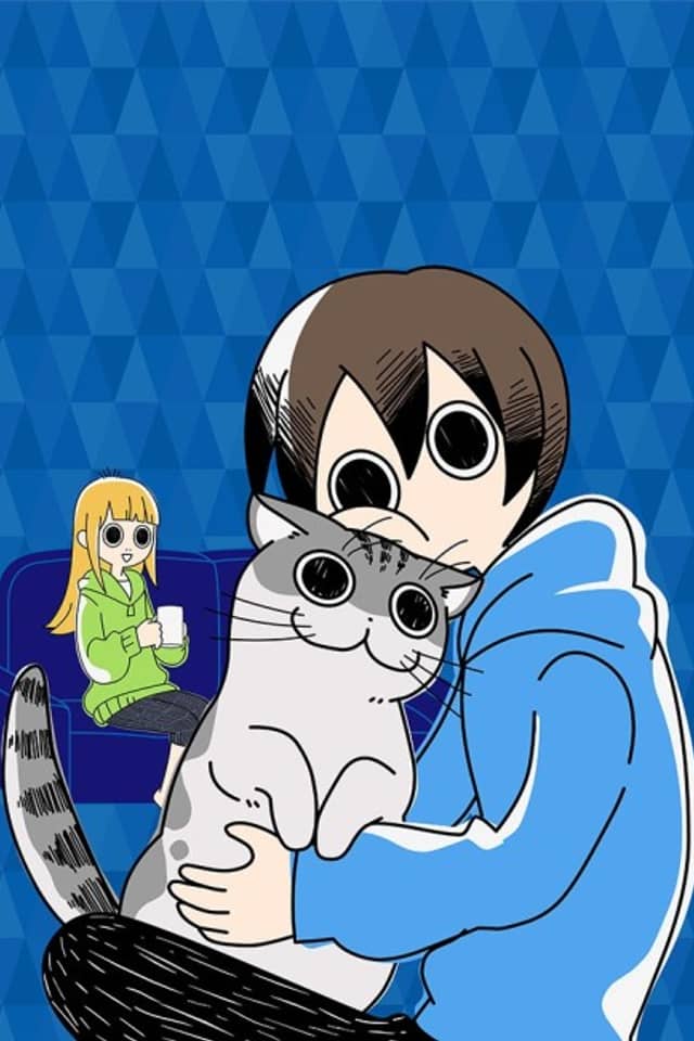 Nights with a Cat