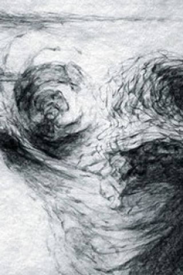 Metamorphous: Mountains and Streams - Ms. Yamakawa Keiko Never Looks Back