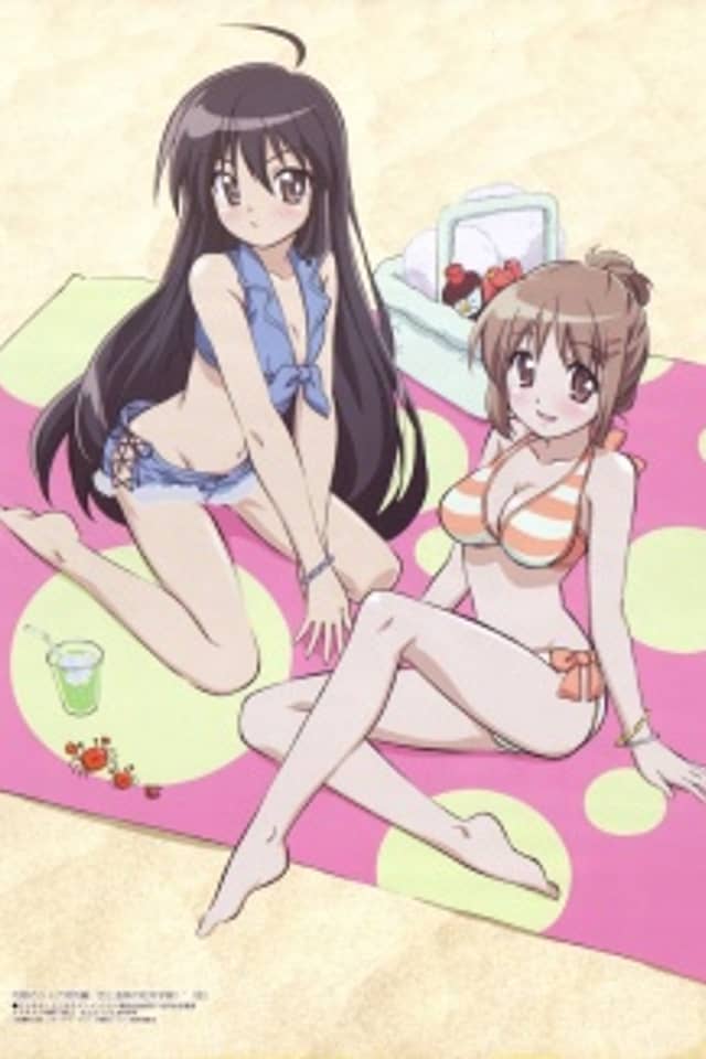 Shakugan no Shana: Koi to Onsen no Kougai Gakushuu!