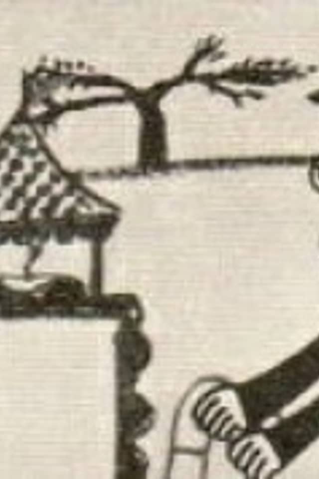Tonchi Asobi