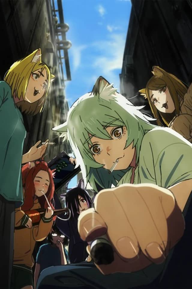Chainsmoker Cat
