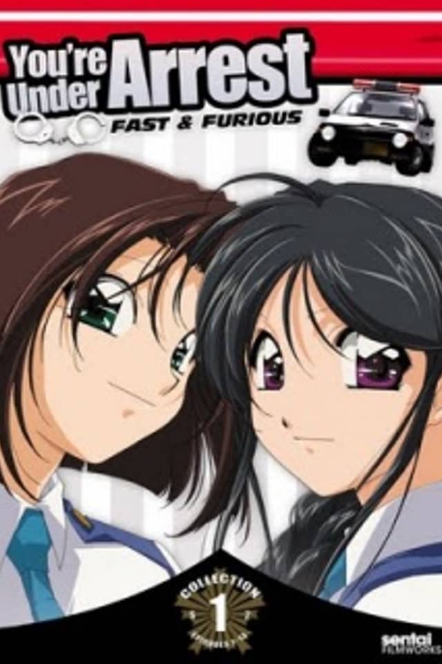 You're Under Arrest: Fast & Furious