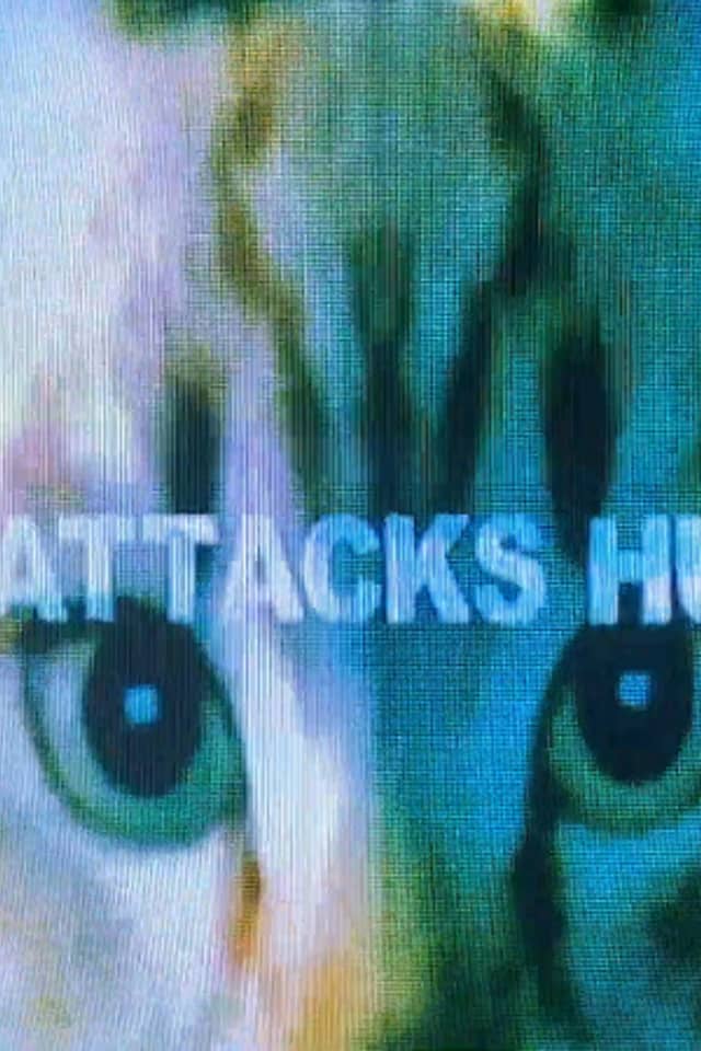 Dog Attacks Human