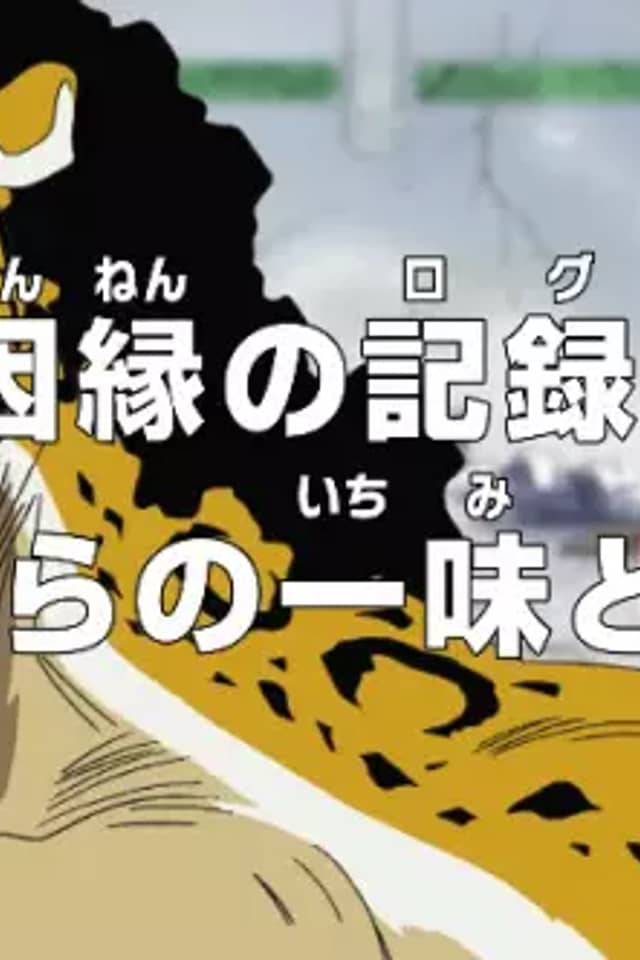 One Piece: The Log of the Rivalry! The Straw Hats vs. Cipher Pol