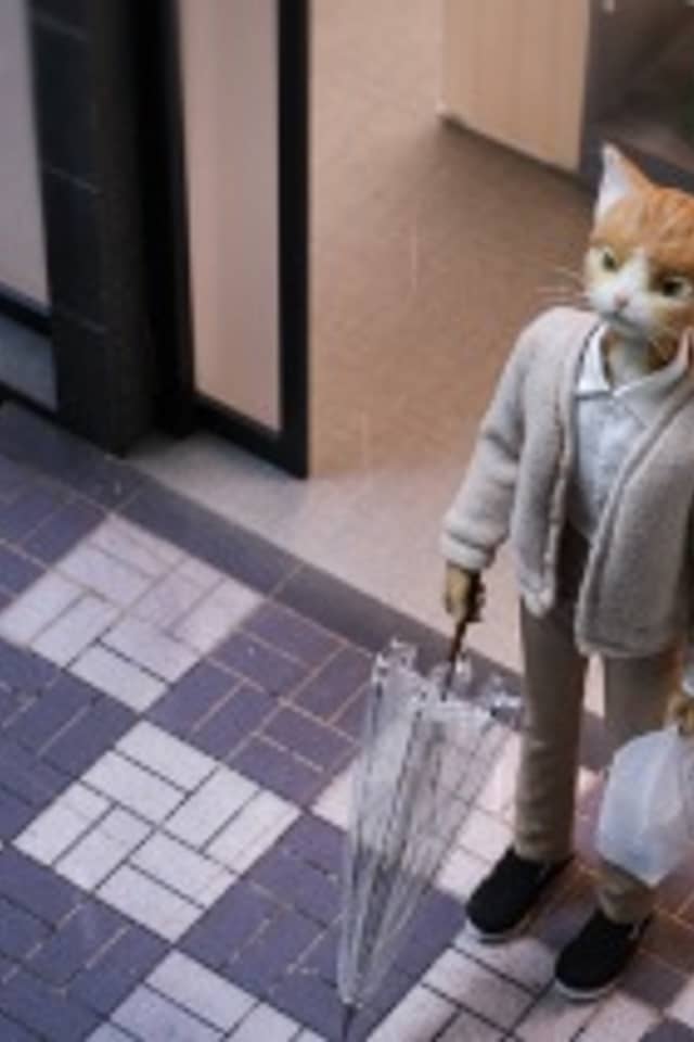 I Became a Cat