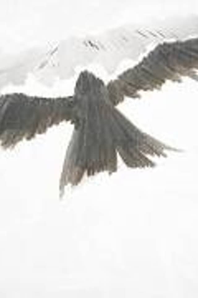 Karasu (PV)