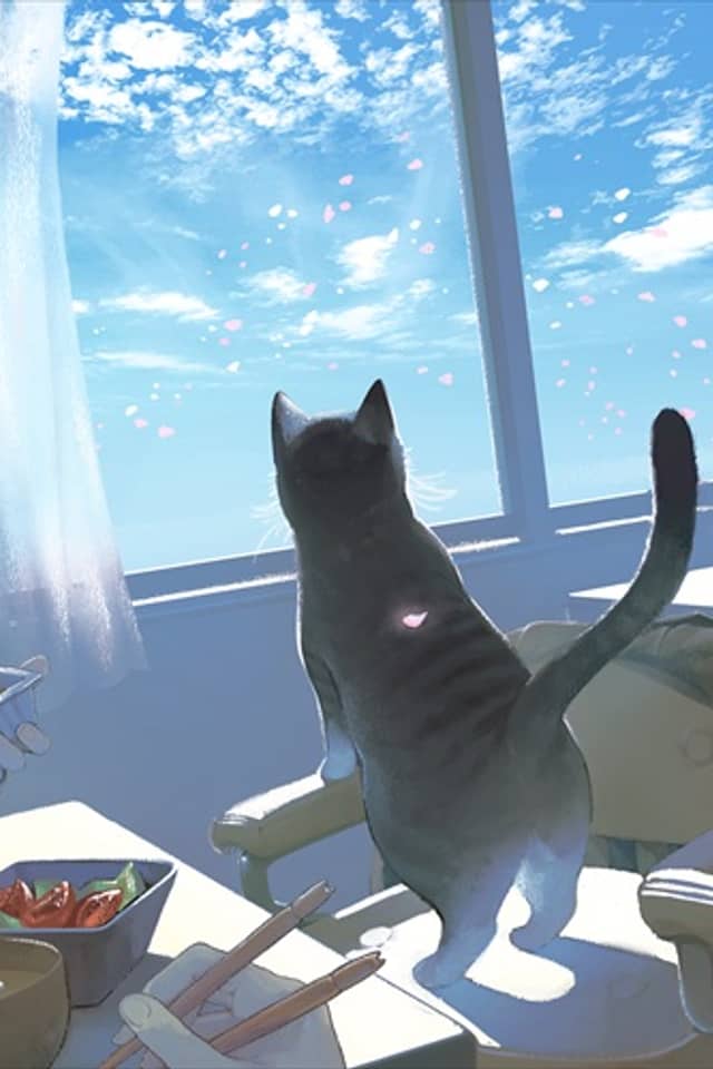 Catdays