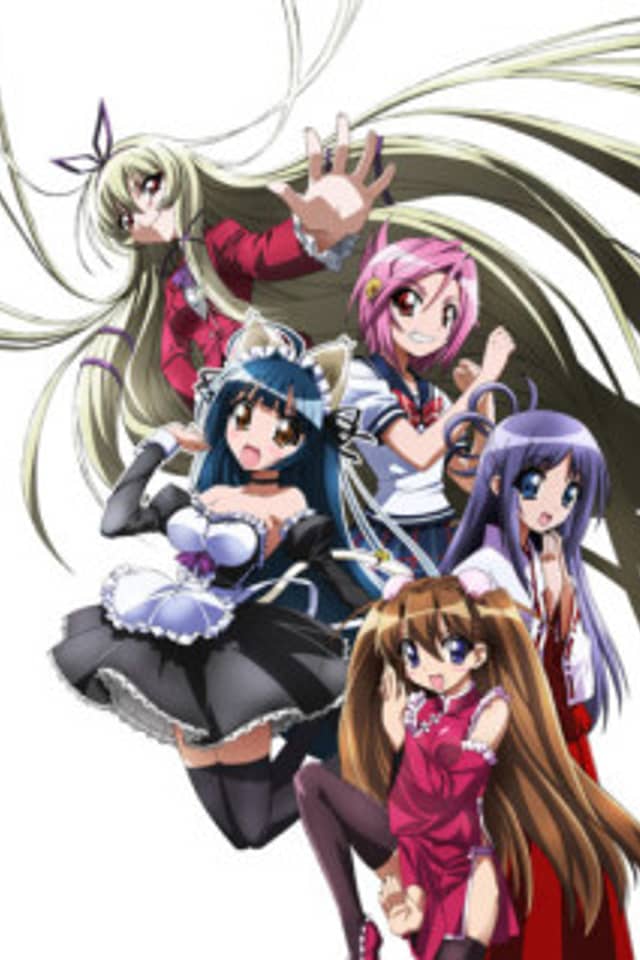 Penguin Musume♥Heart