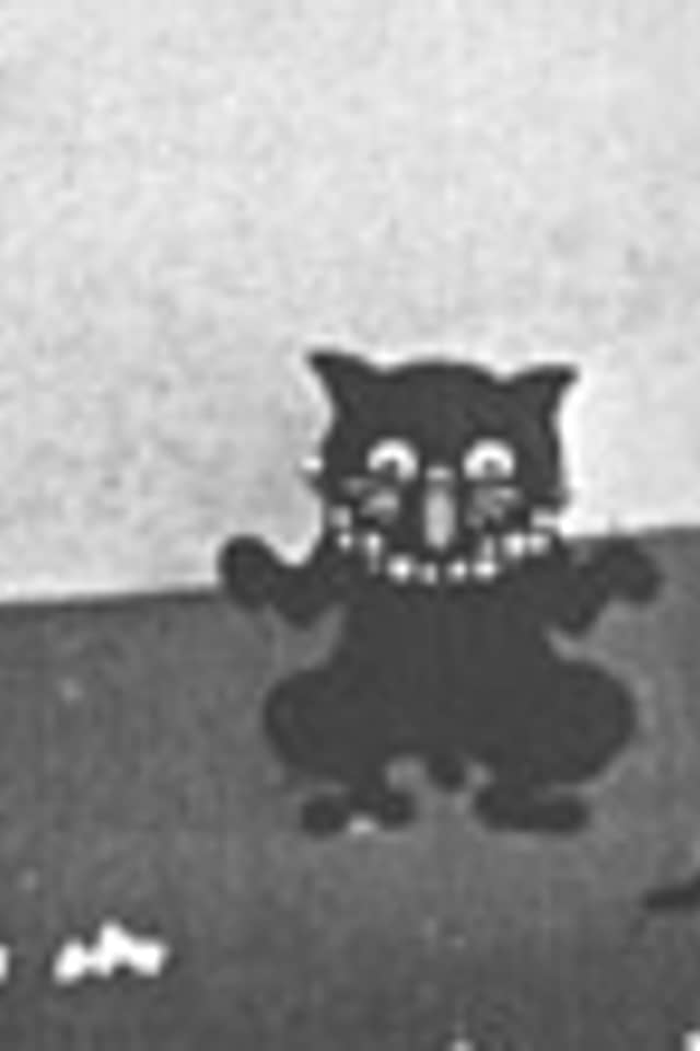 The Black Cat