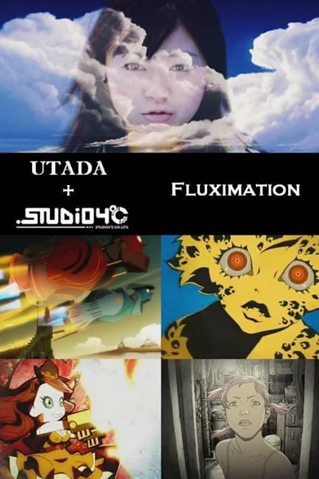 Fluximation