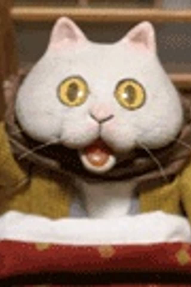 Kotatsu Cat