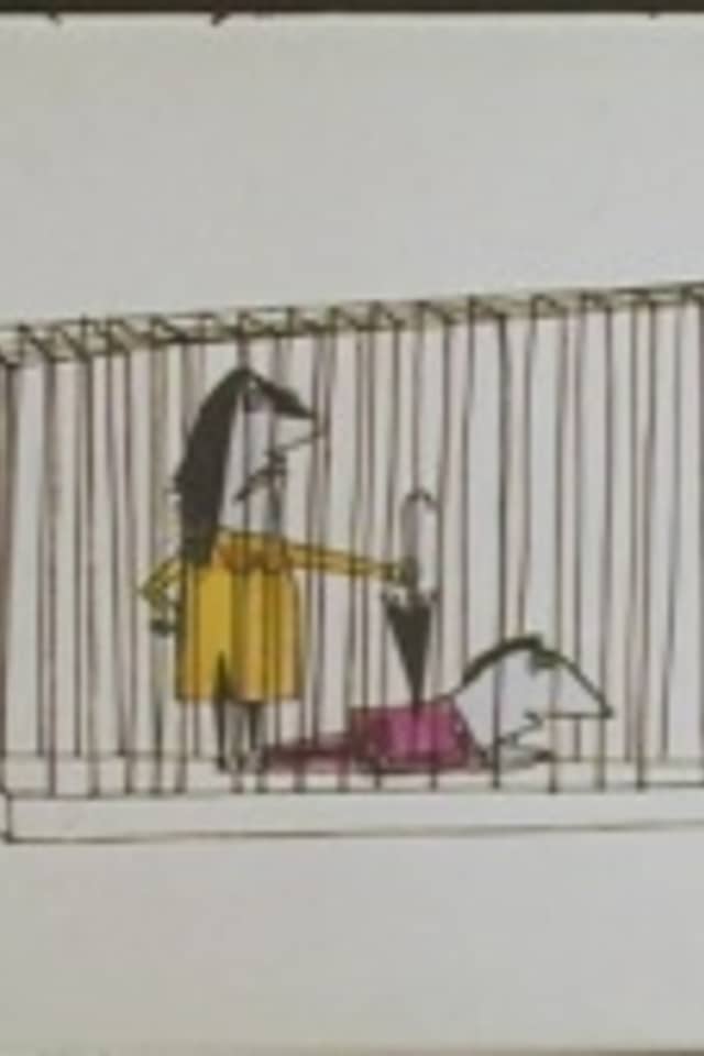 Human Zoo