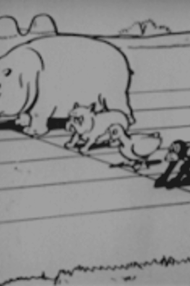 The Animal Olympics