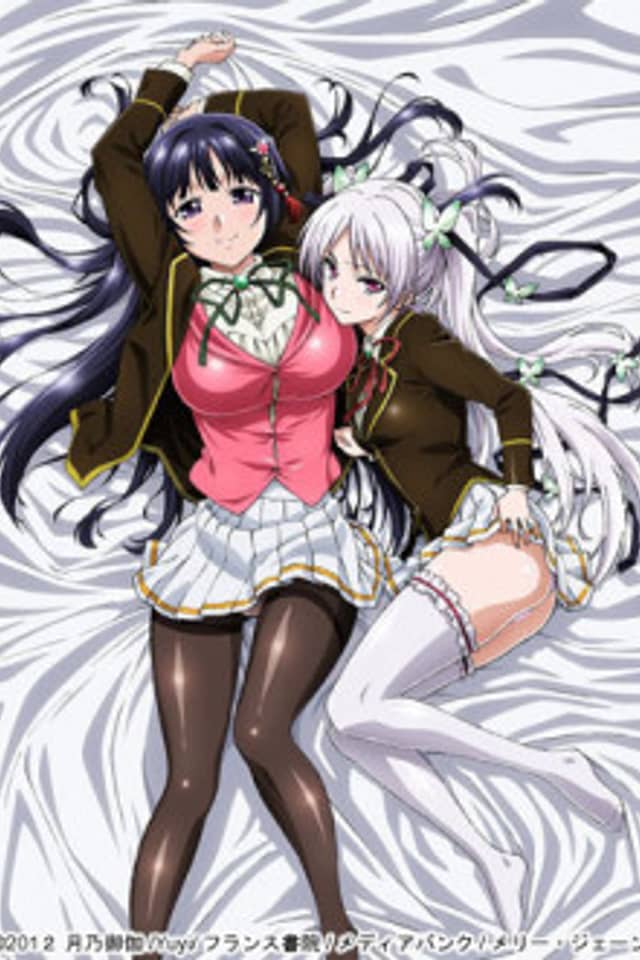 Ojousama☆Yomeiri Kousou!