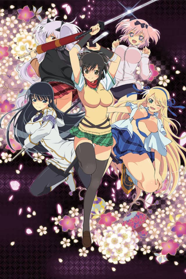 Senran Kagura: Ninja Flash!