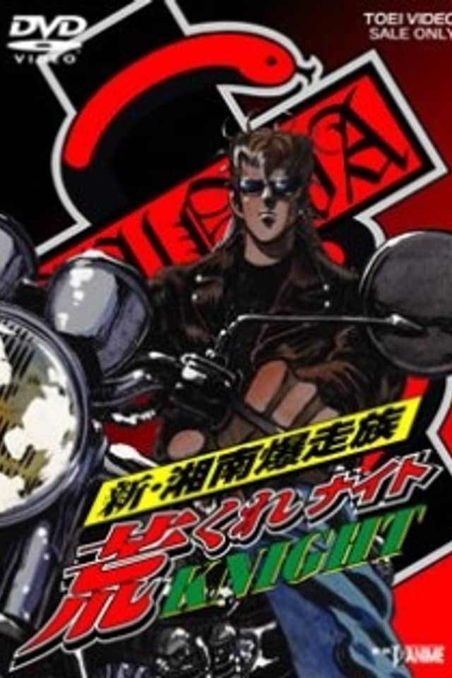 Shin Shounan Bakusouzoku Arakure KNIGHT