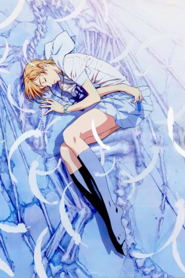 Escaflowne: A Girl in Gaea