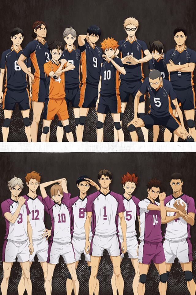 HAIKYU!! 3rd Season