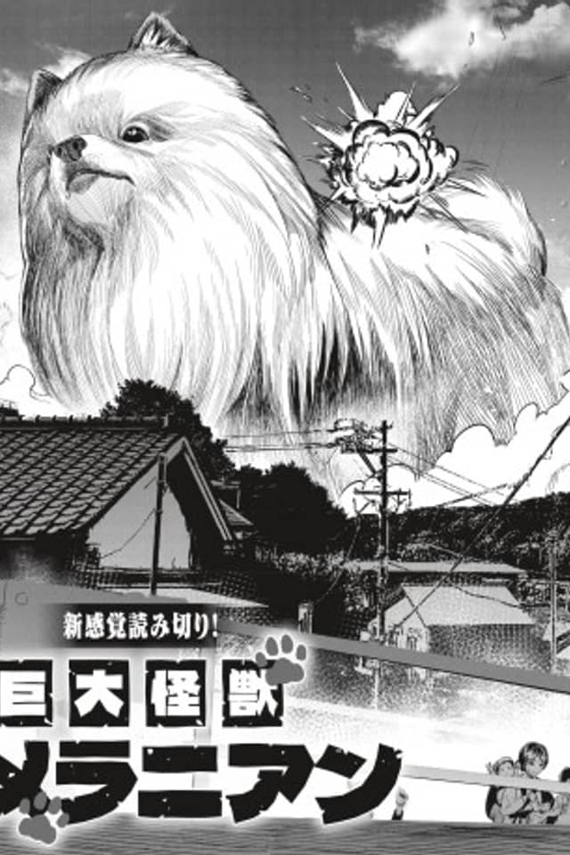 Kyodai Kaijuu Pomeranian
