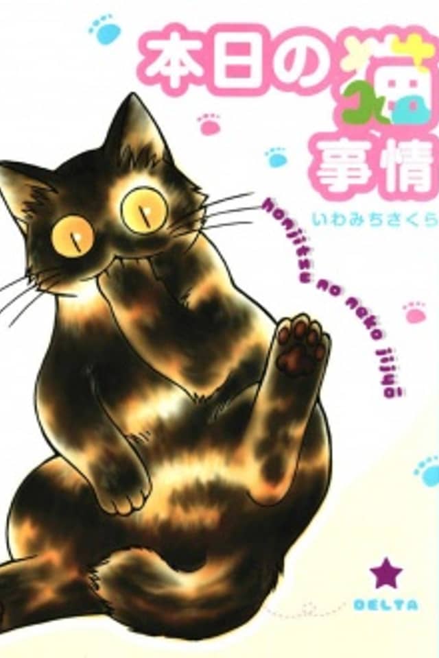 Today's Cat Matters