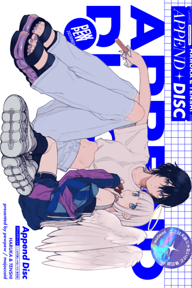 Append Disc