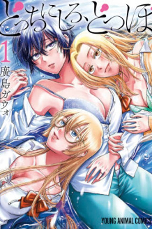 Docchi ni Shiro, Dotsubo