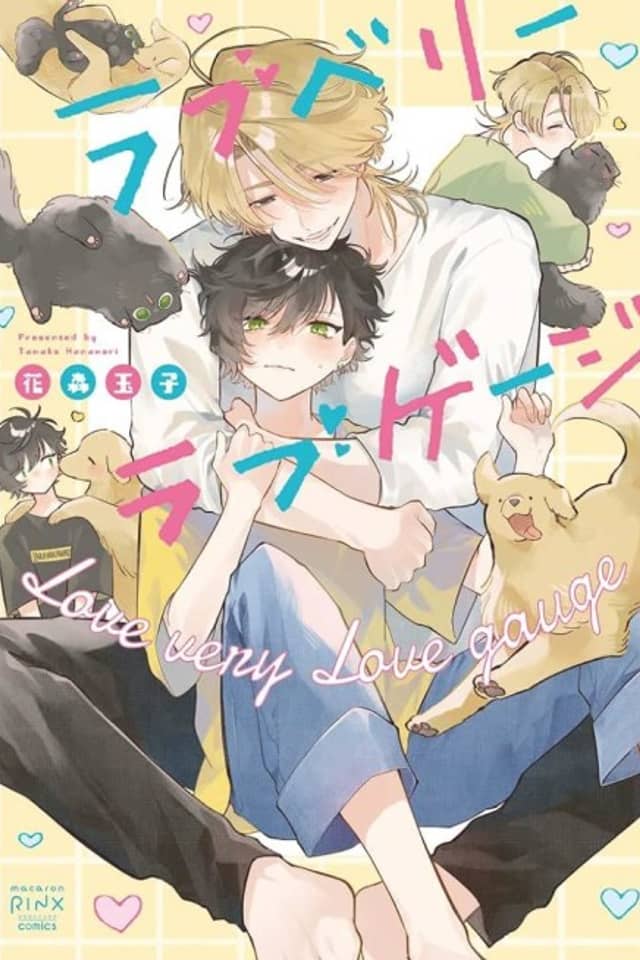 Love Very Love Gauge