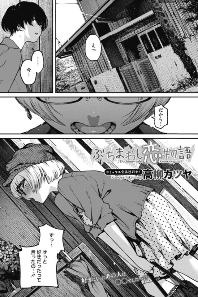 Buchimawashi Koi Monogatari