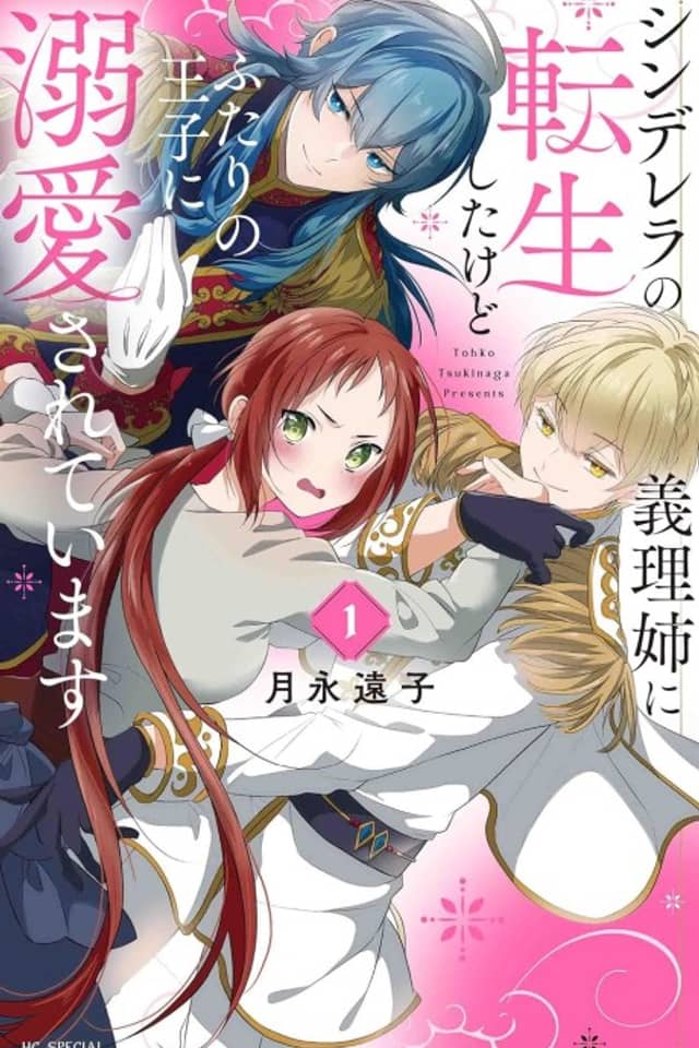 Cinderella no Giri Ane ni Tensei Shita kedo Futari no Ouji ni Dekiaisareteimasu
