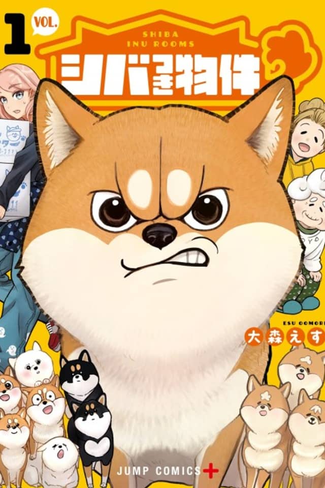 Shiba Inu Rooms