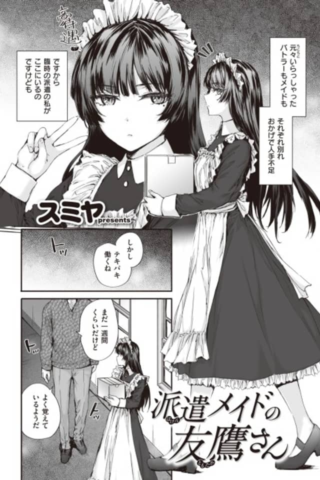 Tomotaka-san the Temp Maid