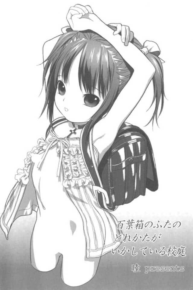 Hyakuyoubako no Futa no Torekata ga Ikashiteru Koutei