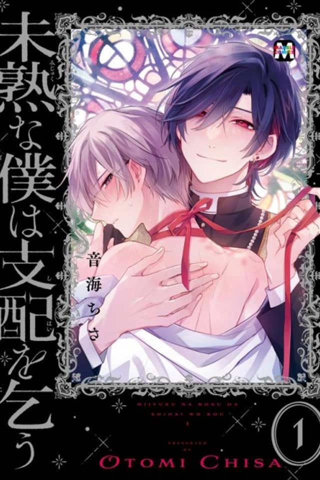Mijuku na Boku wa Shihai wo Kou