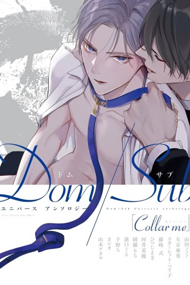 Collar me Dom/Sub Universe Anthology