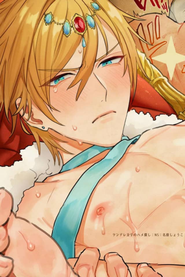 The Tsundere Prince's Sex Search