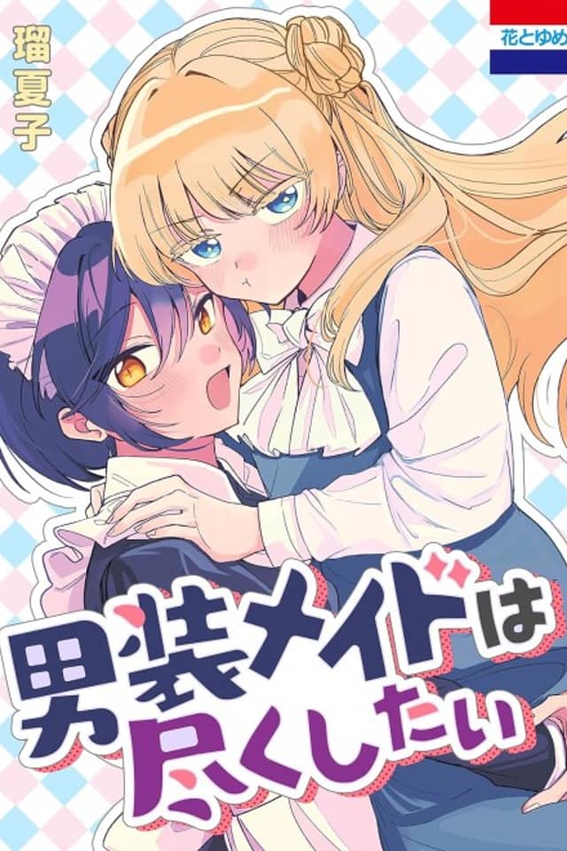 Dansou Maid wa Tsukushitai